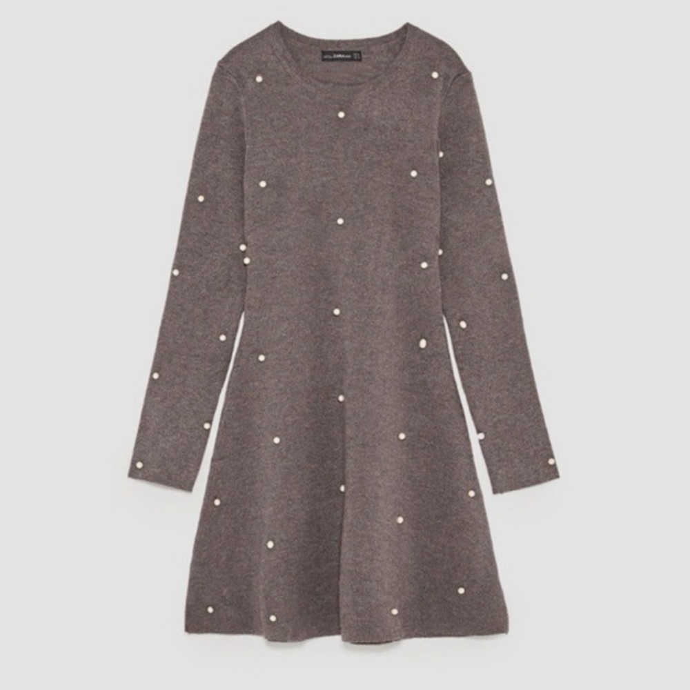 ZARA | Skater Dress